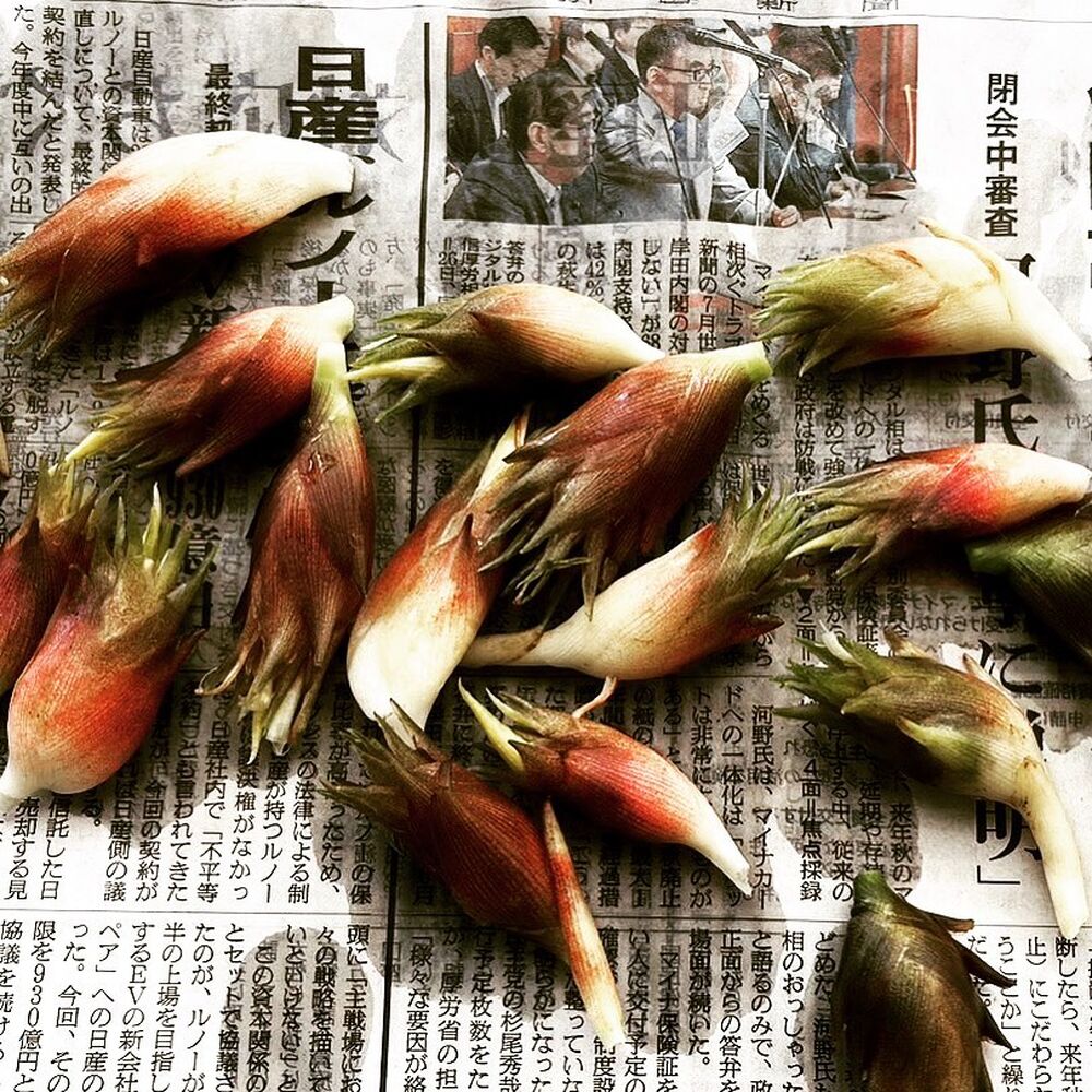 ブログ