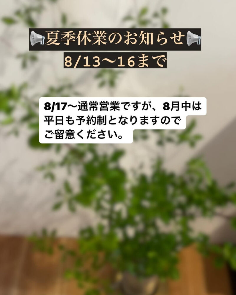 ブログ